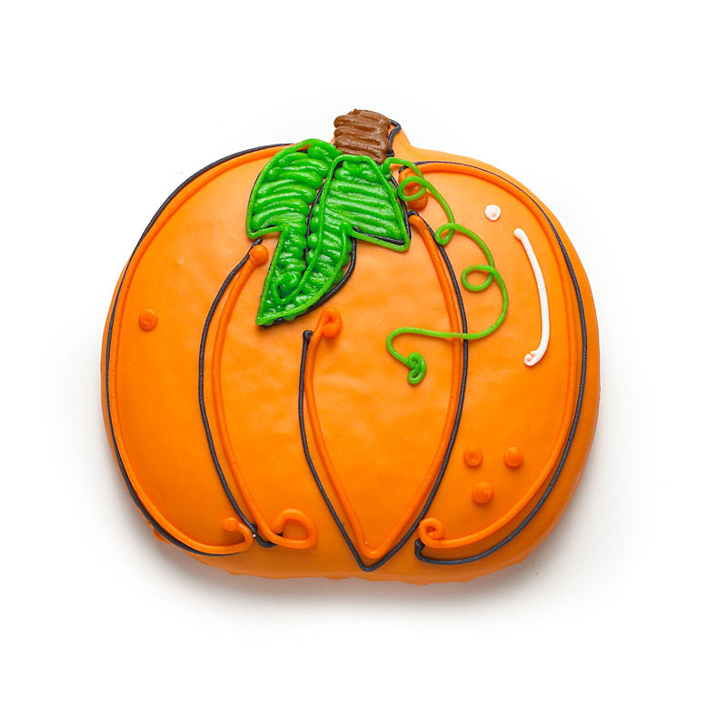 pumpkin_pro_pic
